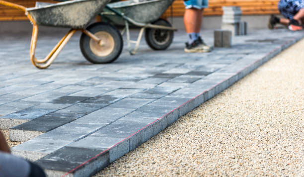 Best Driveway Paving Contractor  in Cedar Grove, WI