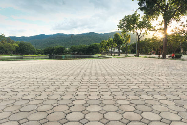 Best Driveway Paver Sealing  in Cedar Grove, WI