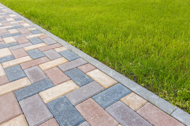 Best Driveway Pavers Near Me  in Cedar Grove, WI